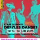 dfi'es danses